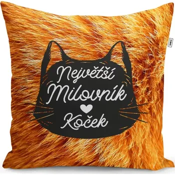Polštář Sablio Polštář Největší milovník koček: 40x40 cm