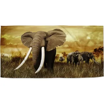 Sablio Ručník Slon Africký - 30x50 cm