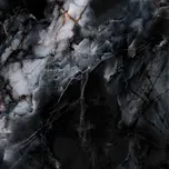 Calmness Black poler - dlaždice rektifikovaná 119,7x119,7 černá lesk 170957