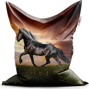 Sedací pytel Sablio Sedací vak Classic Friský kůň - 200x140 cm