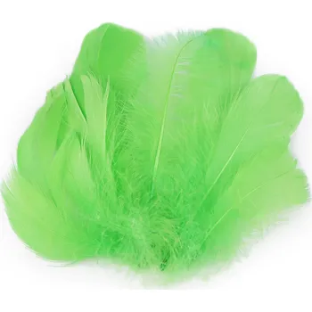 Pštrosí peří délka 6-11 cm, malé, 5 zelená sv.