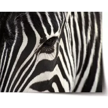 Plakát Sablio Plakát Detail zebra - 60x40 cm