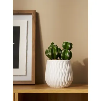 umělá květina Sinsay - Dekorativní kaktus v keramickém květináči - zelená - 686IH-77X - 686IH-77X-ONE