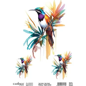 Výtvárné potřeby Transferový obrázek Cadence Easy Transfer, 25x35 cm - Tropický pták