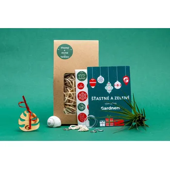 Gardners Vánoční dárková sada - Šnek "Vyrob si sám" s Tillandsií Melanocrater Tillandsie, kykatka