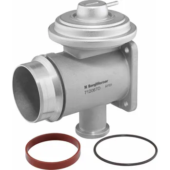 Auto-moto AGR-Ventil BorgWarner 712067D