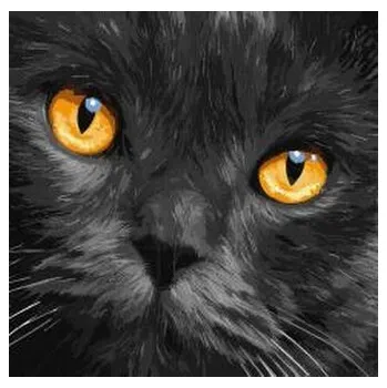 Set školních potřeb Malowanie po numerach - Bursztynowe oczy 40x40cm