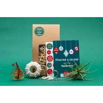 Bytová dekorace Gardners Vánoční dárková sada - Medusa "Vyrob si sám" Sputnik s Tillandsií Kathy Tillandsie, kykatka