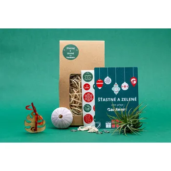 Gardners Vánoční dárková sada - Medusa "Vyrob si sám" Purple s Tillandsií Ionantha Tillandsie, kykatka