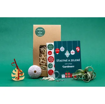 Bytová dekorace Gardners Vánoční dárková sada - Medusa "Vyrob si sám" Purple s Tillandsií Curly slim Tillandsie, kykatka