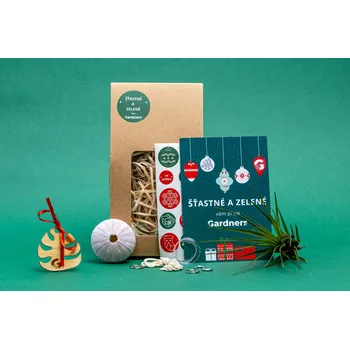 Gardners Vánoční dárková sada - Medusa "Vyrob si sám" Purple s Tillandsií Melanocrater Tillandsie, kykatka