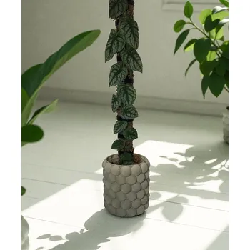 Květináč Plantbee Květináč Klaud 14cm olivová