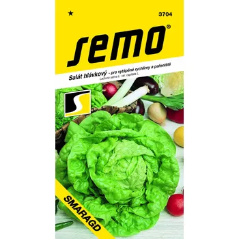 Semeno Semo Semo Salát hlávkový k rychlení SMARAGD "S" - skleníky, pařeniště