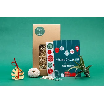 Gardners Vánoční dárková sada - Medusa "Vyrob si sám" Rose s Tillandsií Capitata Tillandsie, kykatka