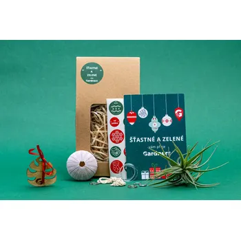 Bytová dekorace Gardners Vánoční dárková sada - Medusa "Vyrob si sám" Purple s Tillandsií Kathy Tillandsie, kykatka