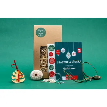 Gardners Vánoční dárková sada - Medusa "Vyrob si sám" Rose s Tillandsií Bailey Tillandsie, kykatka