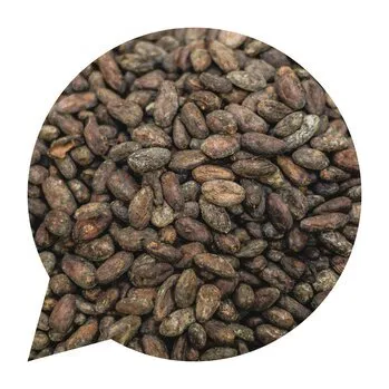 Boby kakaové nepražené BIO