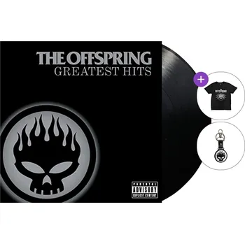 Zahraniční hudba The Offspring - Greatest Hits (LP) SET M