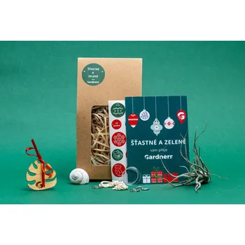 Bytová dekorace Gardners Vánoční dárková sada - Šnek "Vyrob si sám" s Tillandsií Pruinosa Tillandsie, kykatka