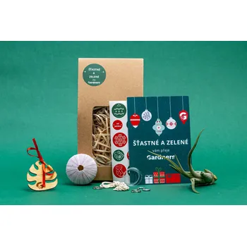 Gardners Vánoční dárková sada - Medusa "Vyrob si sám" Purple s Tillandsií Caput medusae Tillandsie, kykatka