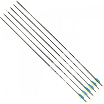Příslušenství pro luk a kuši Yate Šípy - DISPORT Mixx 32/1200 karbon - 6 ks