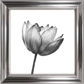 Nástěnná dekorace v rámu 64 x 64 cm 15.33.701.3666 vícebarevná MLC