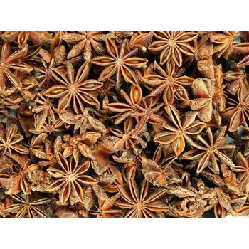 Koření Badyán (Star Anise) celý (balení 1)