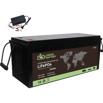 Trakční baterie Baterie LiFePO4 25,6V (24V) 100Ah, 2560Wh, včetně nabíječky 5A 24V, Lithium-železo-fosfátová baterie, BMS (Náhrada za trakční baterie, lithiová baterie, BMS, LiFePO4 baterie, solární baterie)