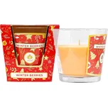 Arôme Vonná svíčka Winter Berries 120 g