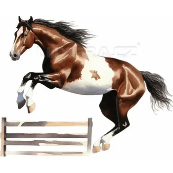 Nášivka Nažehlovačka Americký strakatý kůň parcour - 20 x 17 cm