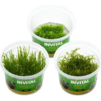 Kolekce 3 kelímků in vitro mechů