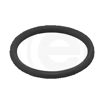 Ventil palivového systému ELRING Těsnící kroužek ELR 485.950