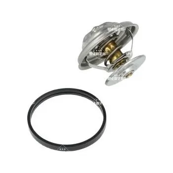 Těsnění motoru Termostat, chladivo NRF 725217