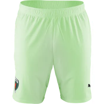 Dámské kraťasy Šortky Puma Füchse Berlin Short 2024/2025 705752fux-60 Velikost 3XL