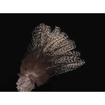 Rybářský prut HENDS COQ DE LEON - PARDO ANCHONDADO Limited series - PA