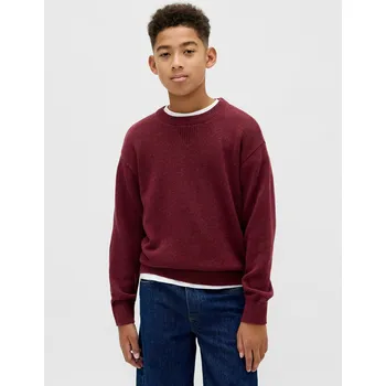 Chlapecký svetr GAP Chlapecké Dětský svetr Gap Červená XS (2949452)