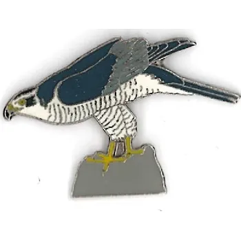 Odznáček - jestřáb lesní