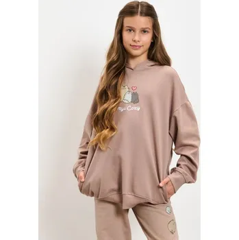 Dívčí mikina Sinsay - Mikina s&nbsp;kapucí Pusheen the Cat - hnědá - 604FV-74X - 604FV-74X-140