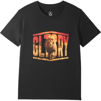 Pánské tričko Triko Puma Galatasaray Istanbul T-Shirt e251068-010 Velikost S