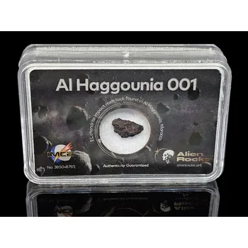 Sběratelství Meteorit | Chondrit | Al Haggounia 001 |