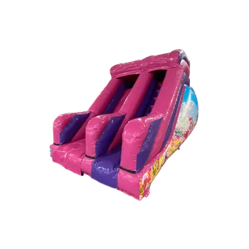 Skákací hrad Nafukovací skluzavka Kompakt+ Jednorožec | Certifikováno | Profi provedení | Různé motivy