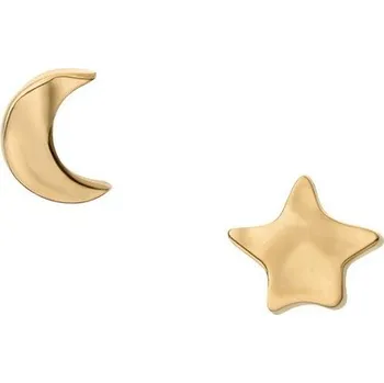 Náušnice Skagen Anja dámské náušnice SKJ1891710