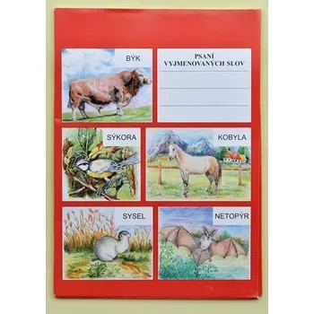 Psaní vyjmenovaných slov