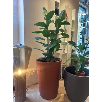 Květináč Atelier Vierkant květináč MR80R