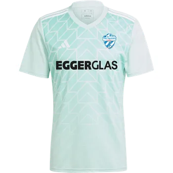 Dres adidas TSV Hartberg Jersey 2024/2025 Kids 5tsvic1255 Velikost XS (123-128 cm)