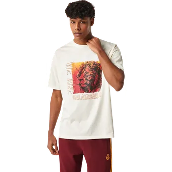 Pánské tričko Triko Puma Galatasaray Istanbul T-Shirt e251067-223 Velikost L