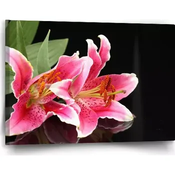 Obraz Sablio Obraz Lilie - 60x40 cm