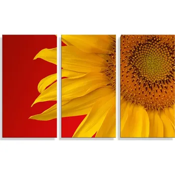 Obraz Sablio Obraz - 3-dílný Slunečnice - 120x80 cm