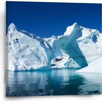 Obraz Sablio Obraz Ledovce - 50x50 cm