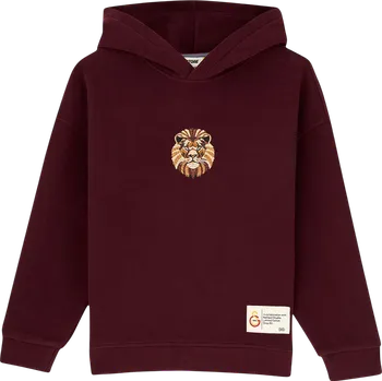 Dámská mikina Mikina s kapucí Puma GSSTORE X Reflect Studio Lion Hoody Kids c242400-100 Velikost 128